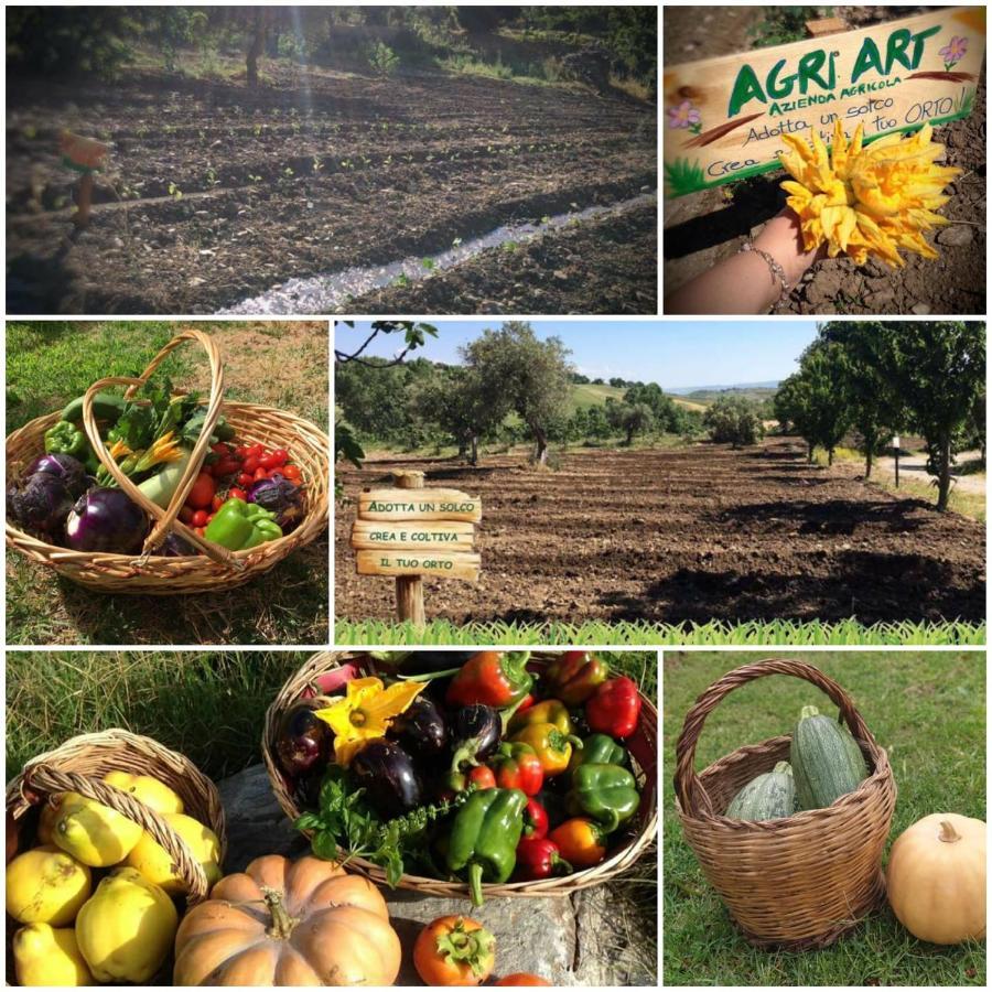 Agri Art Villa San Benedetto Ullano Екстериор снимка