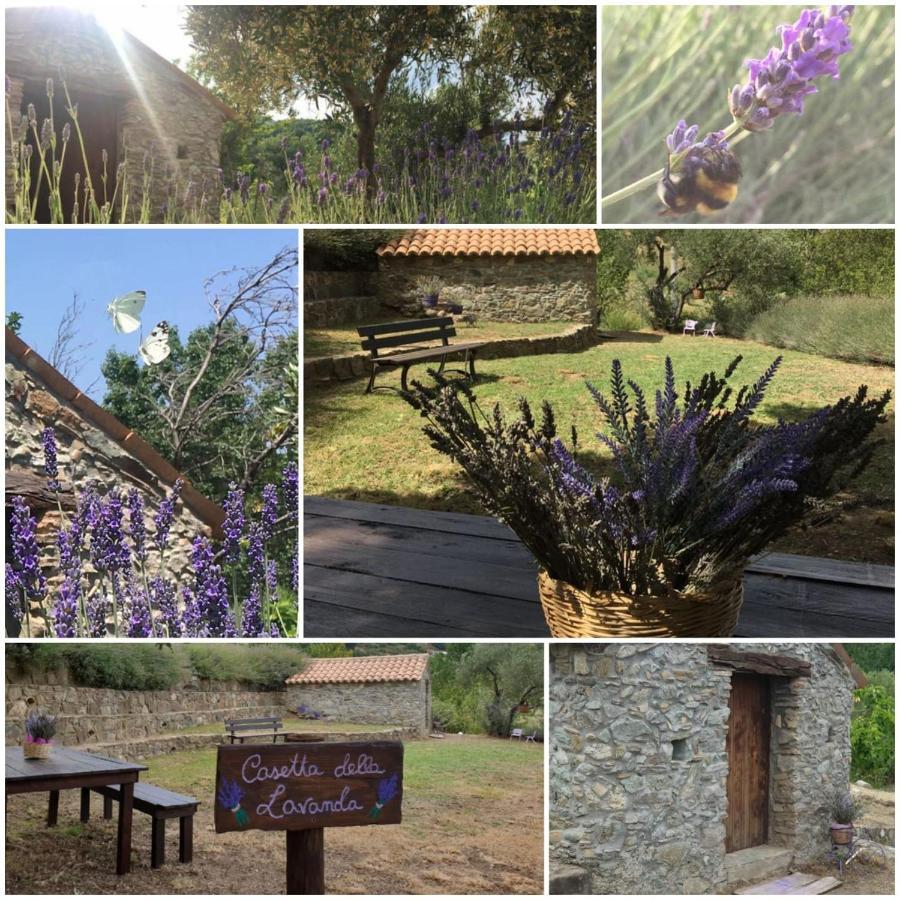 Agri Art Villa San Benedetto Ullano Екстериор снимка