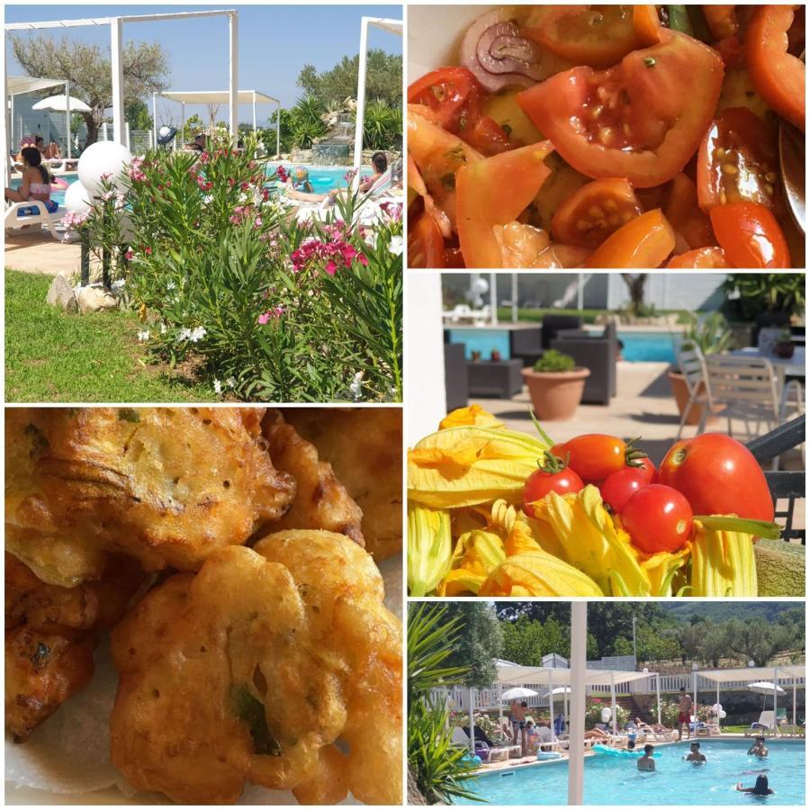 Agri Art Villa San Benedetto Ullano Екстериор снимка