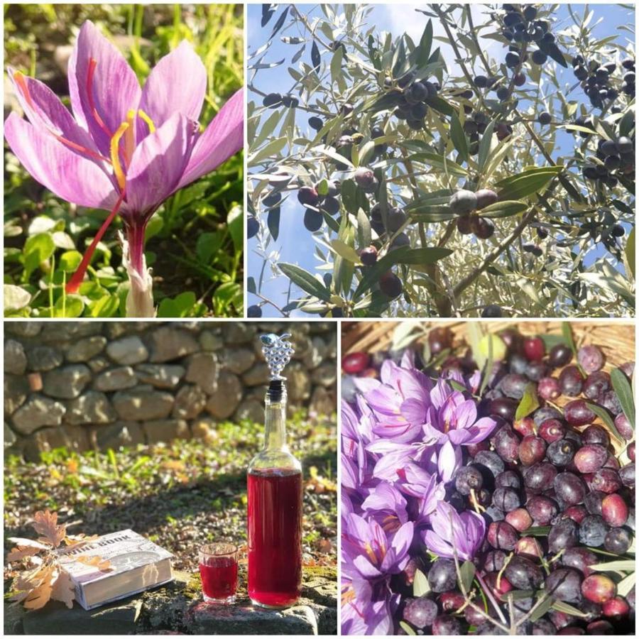 Agri Art Villa San Benedetto Ullano Екстериор снимка