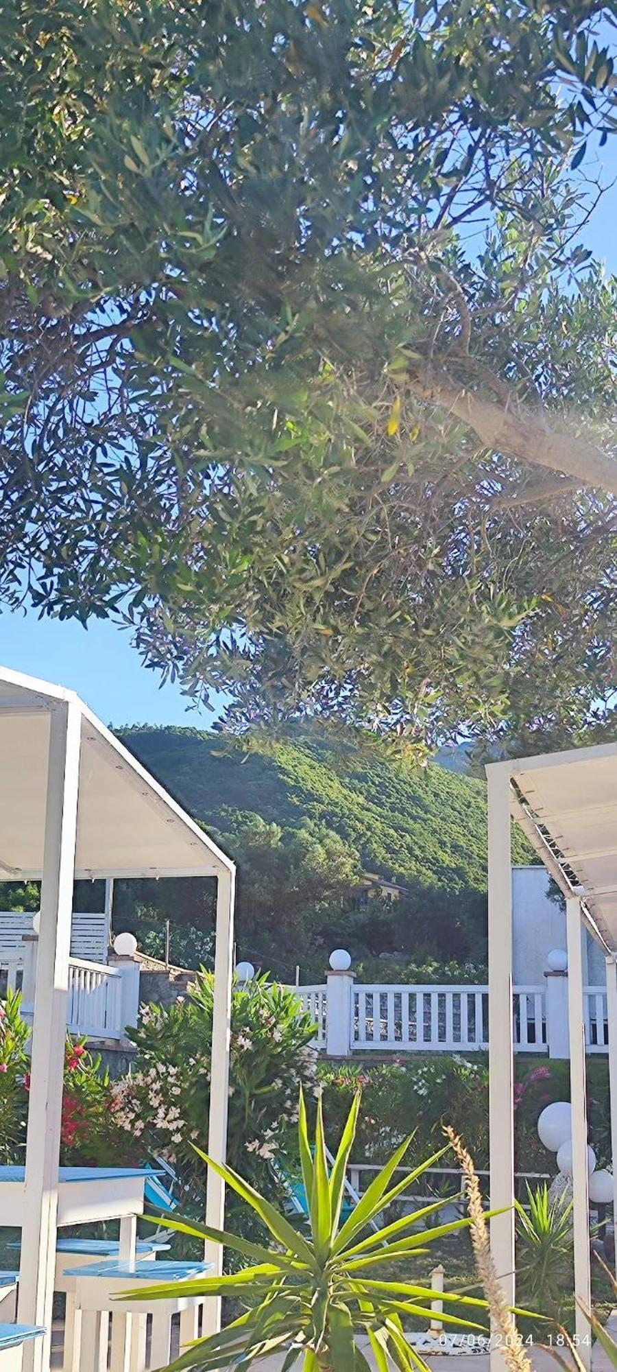 Agri Art Villa San Benedetto Ullano Екстериор снимка